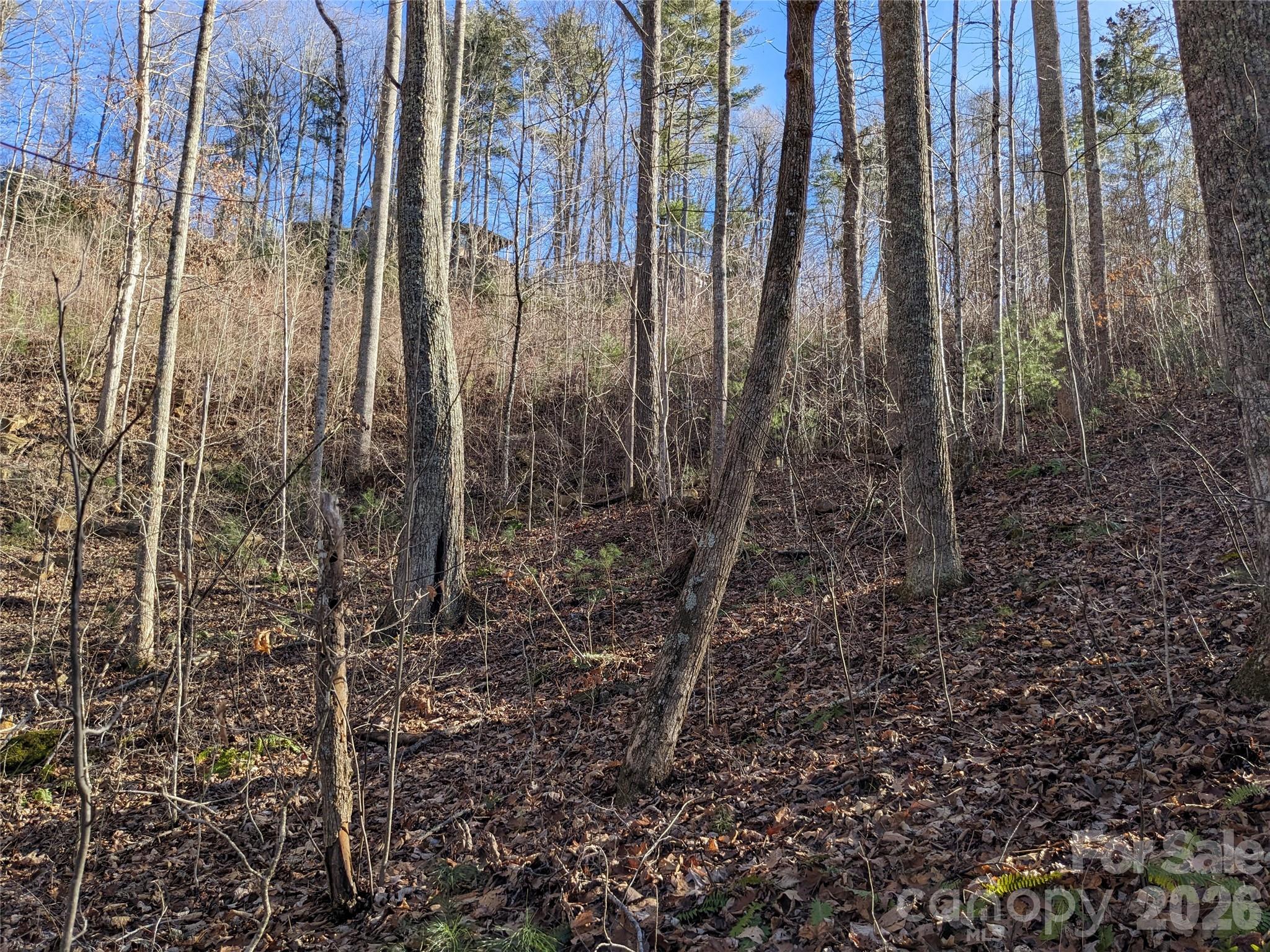 27 Bent Branch Lane Asheville NC 28804