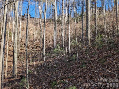 27 Bent Branch Lane Asheville NC 28804