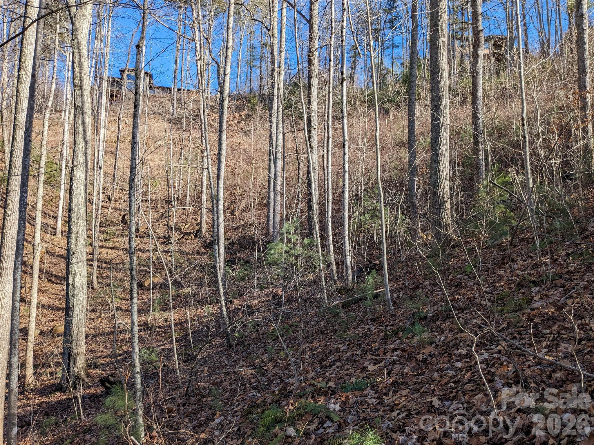 27 Bent Branch Lane Asheville NC 28804