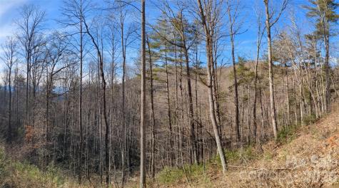 27 Bent Branch Lane Asheville NC 28804