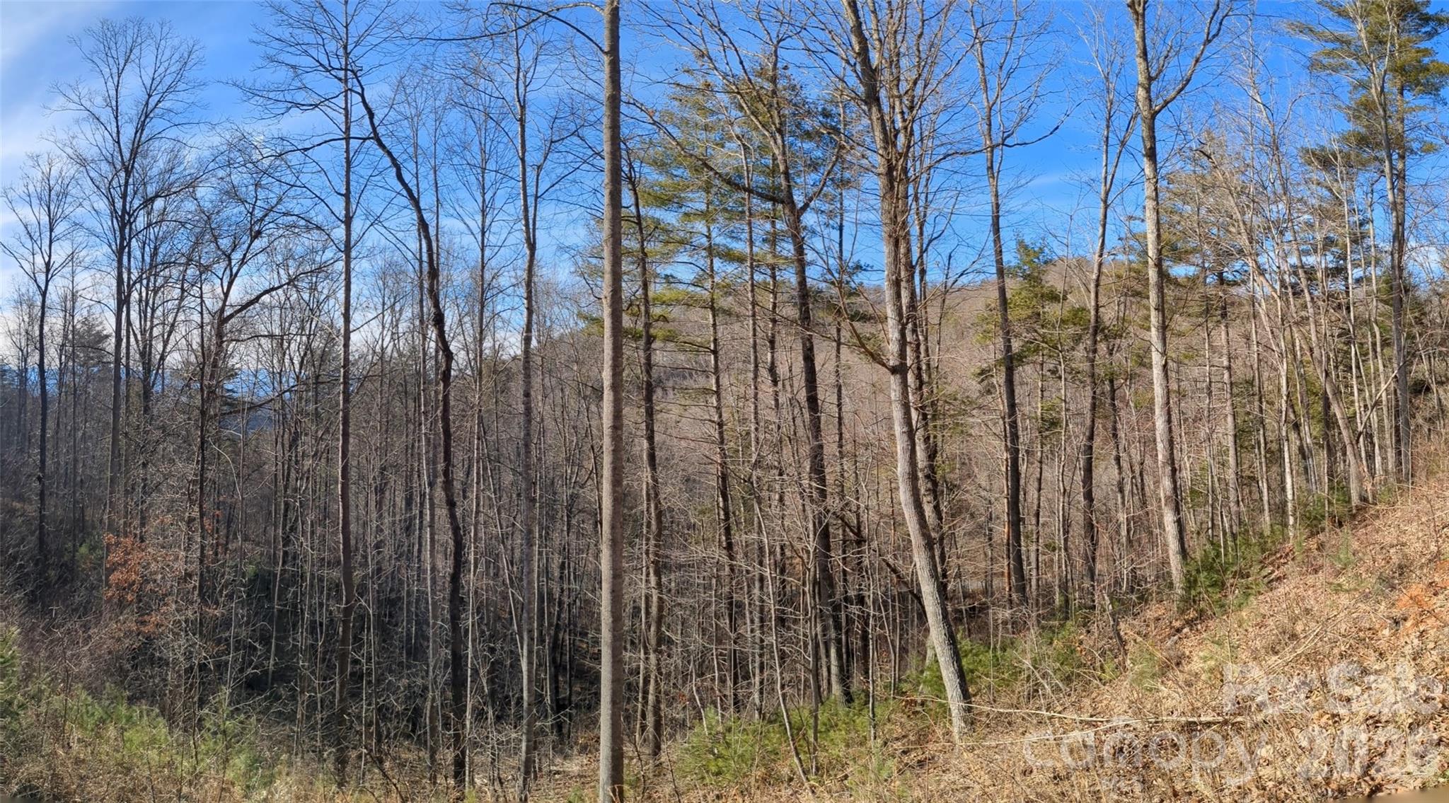 27 Bent Branch Lane Asheville NC 28804