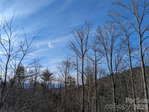 27 Bent Branch Lane Asheville NC 28804
