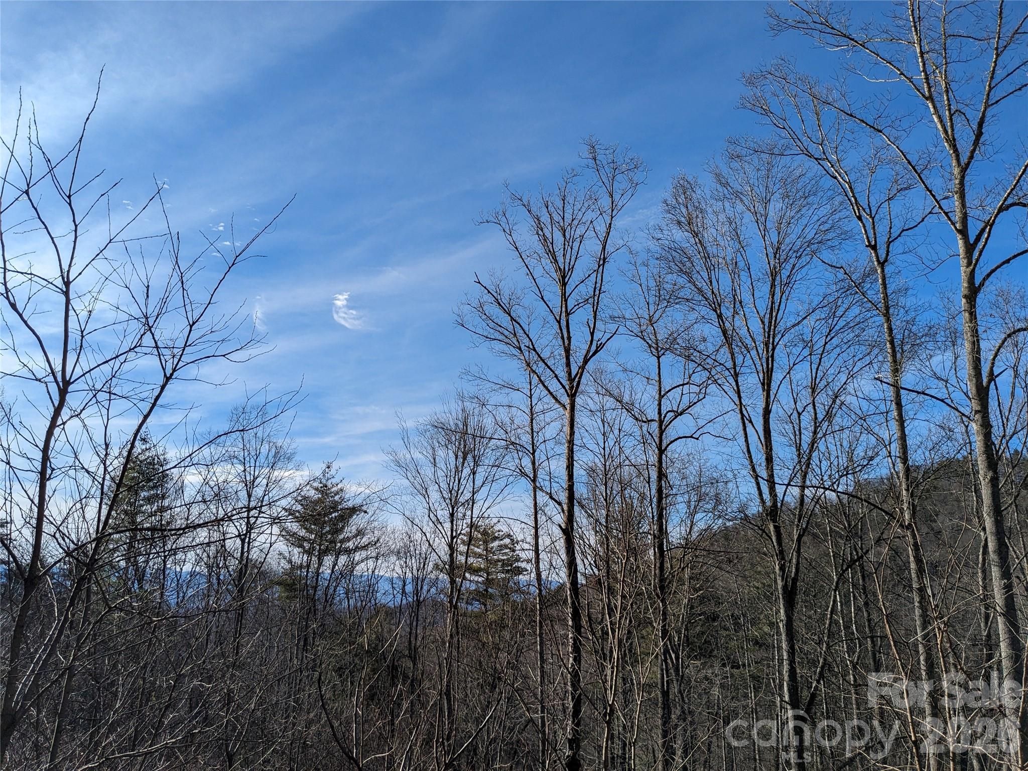 27 Bent Branch Lane Asheville NC 28804