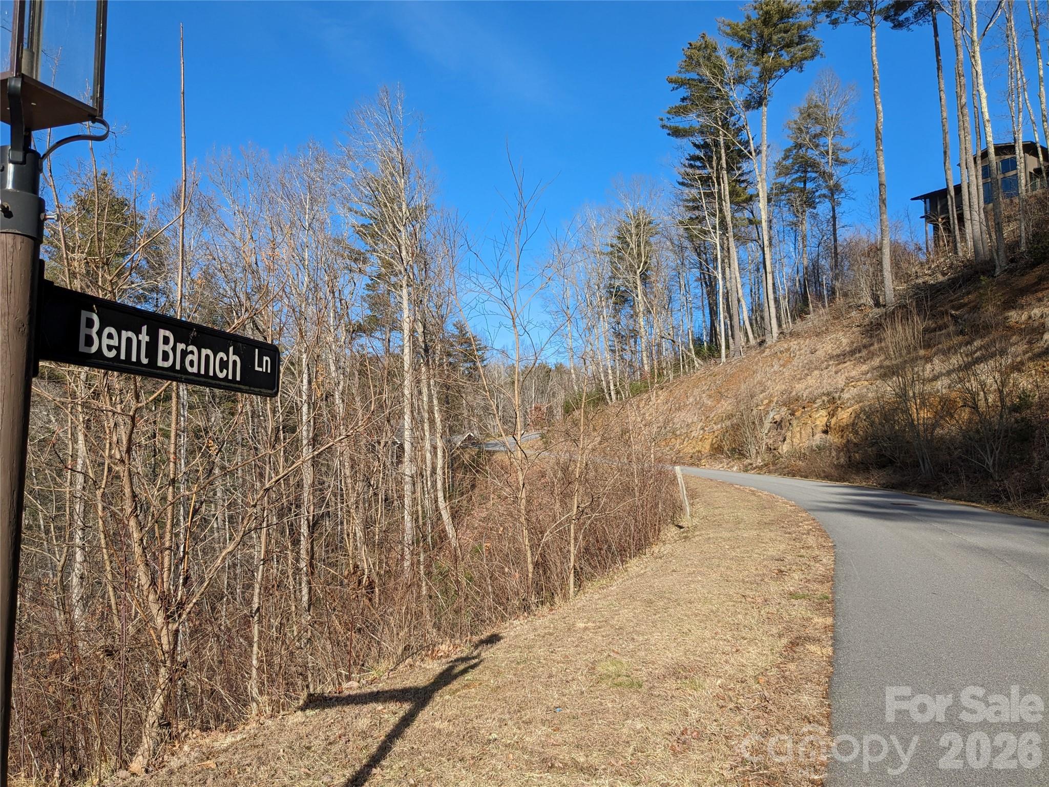27 Bent Branch Lane Asheville NC 28804