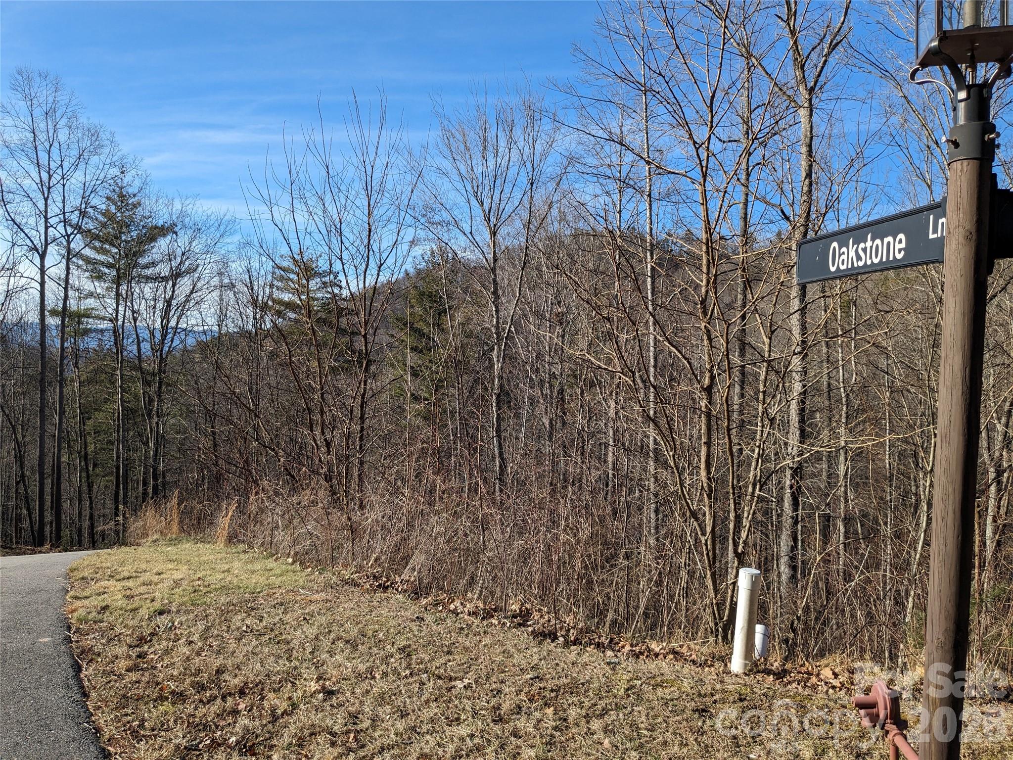 27 Bent Branch Lane Asheville NC 28804