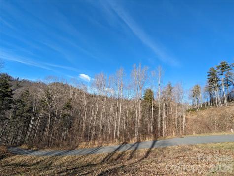 27 Bent Branch Lane Asheville NC 28804
