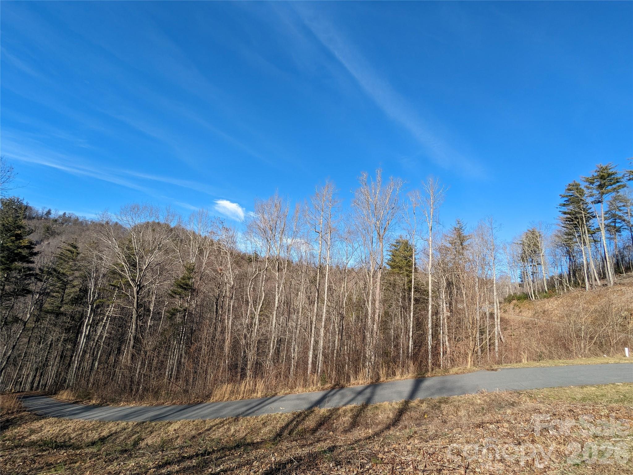27 Bent Branch Lane Asheville NC 28804