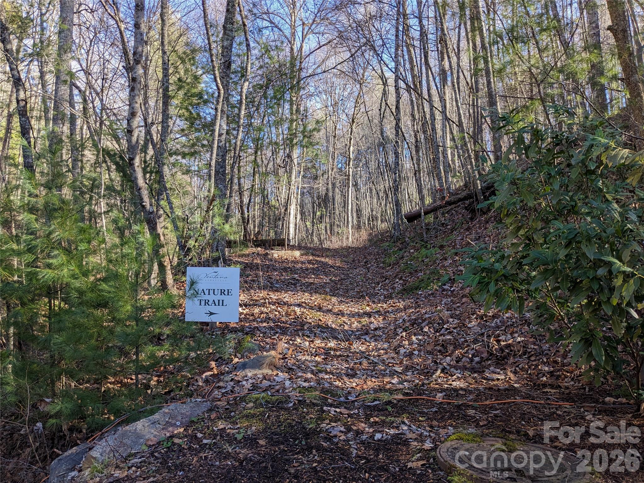 27 Bent Branch Lane Asheville NC 28804