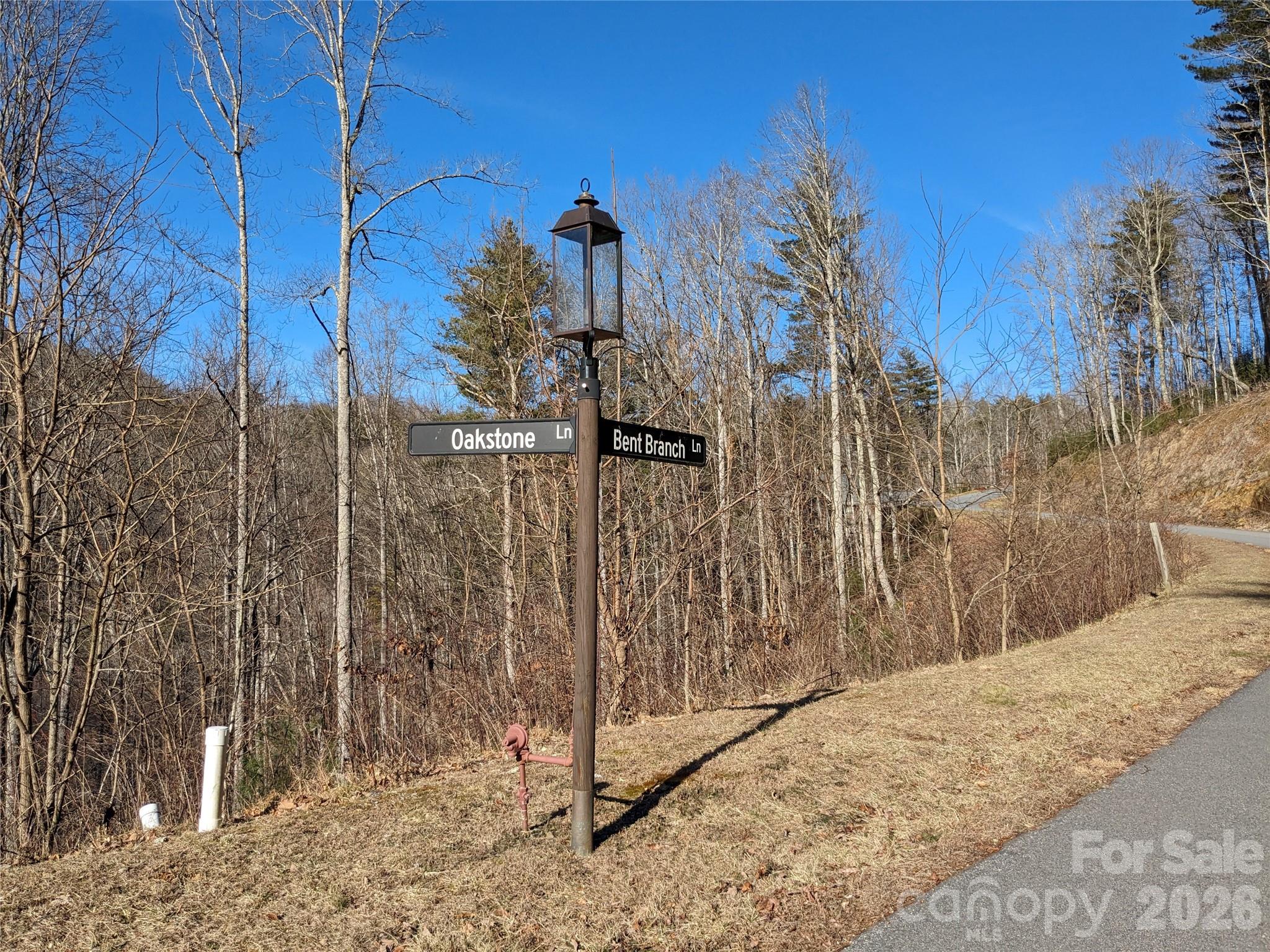 27 Bent Branch Lane Asheville NC 28804