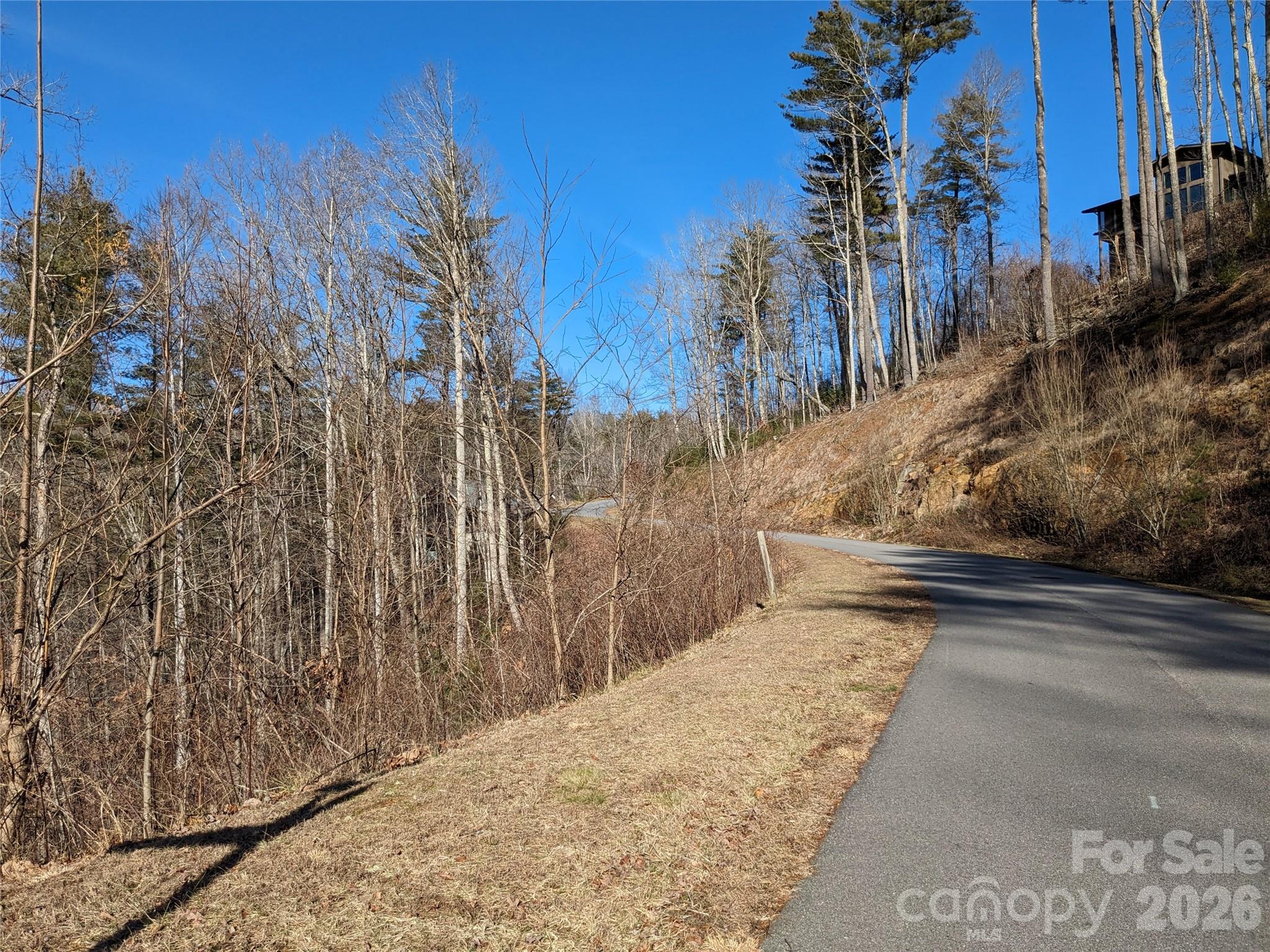 27 Bent Branch Lane Asheville NC 28804