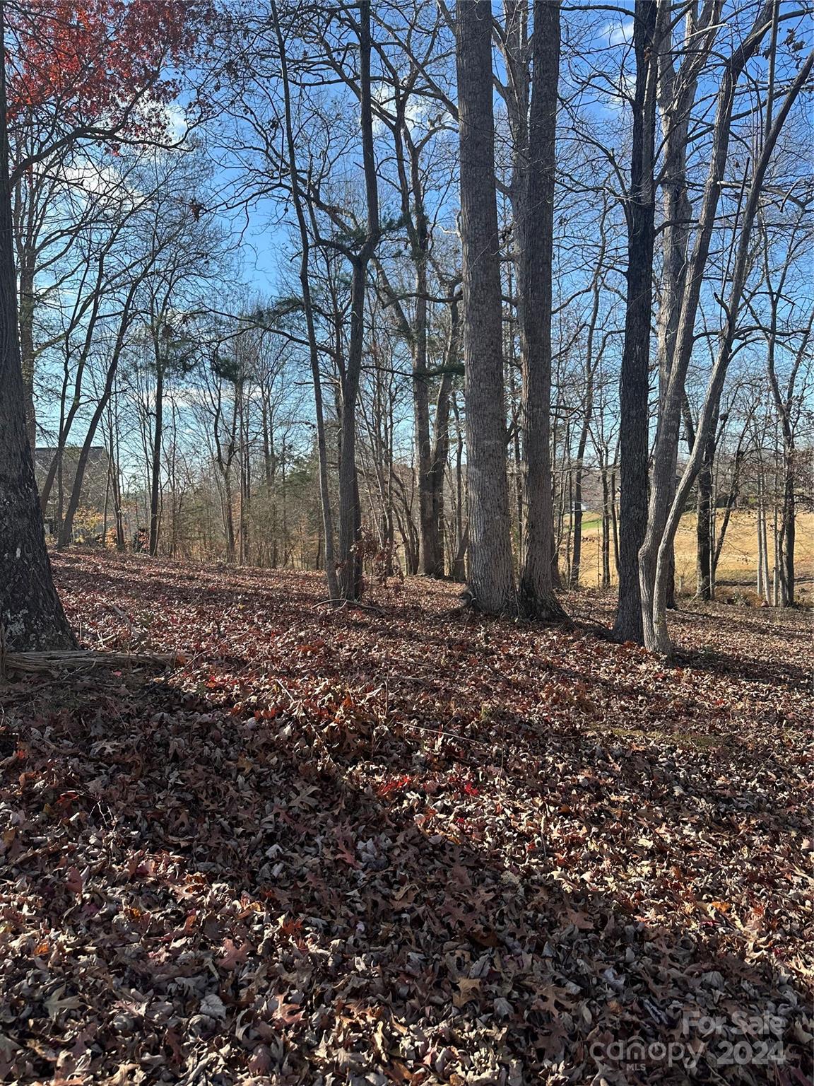 3712 Blankenship Drive Morganton NC 28655
