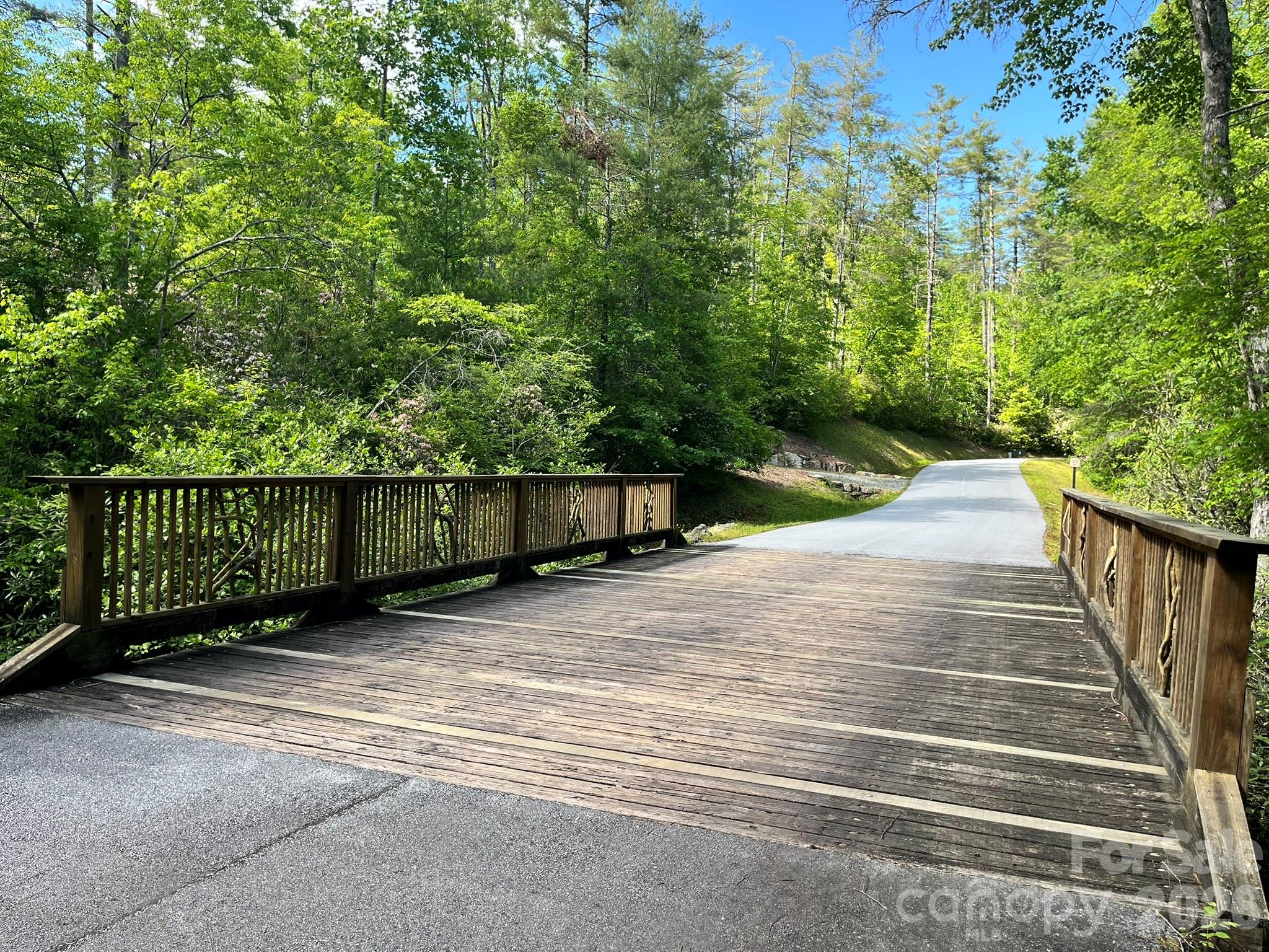 Lot 90 Peppervine Circle Rosman NC 28712