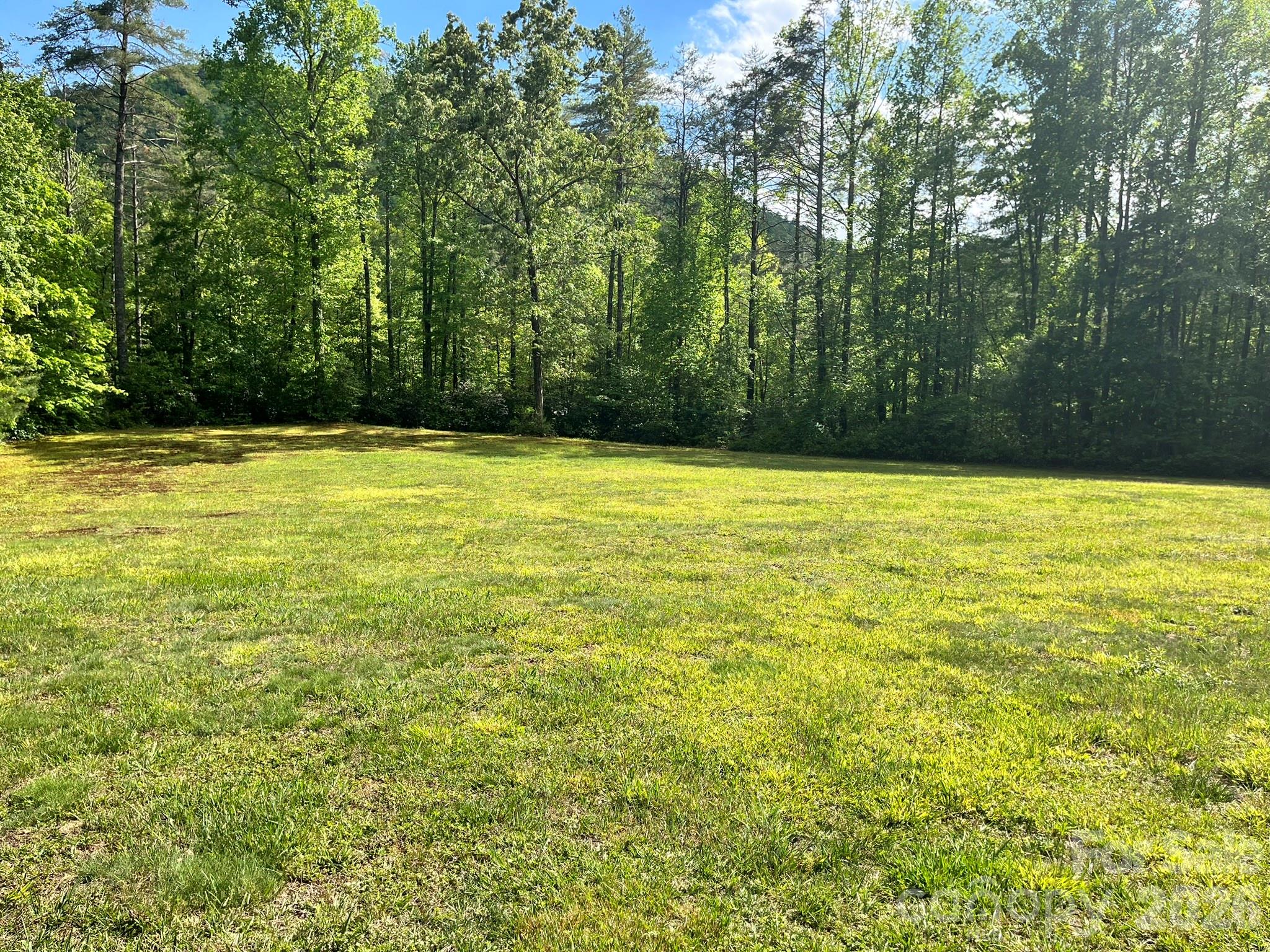 Lot 90 Peppervine Circle Rosman NC 28712