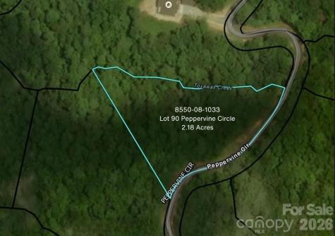 Lot 90 Peppervine Circle Rosman NC 28712