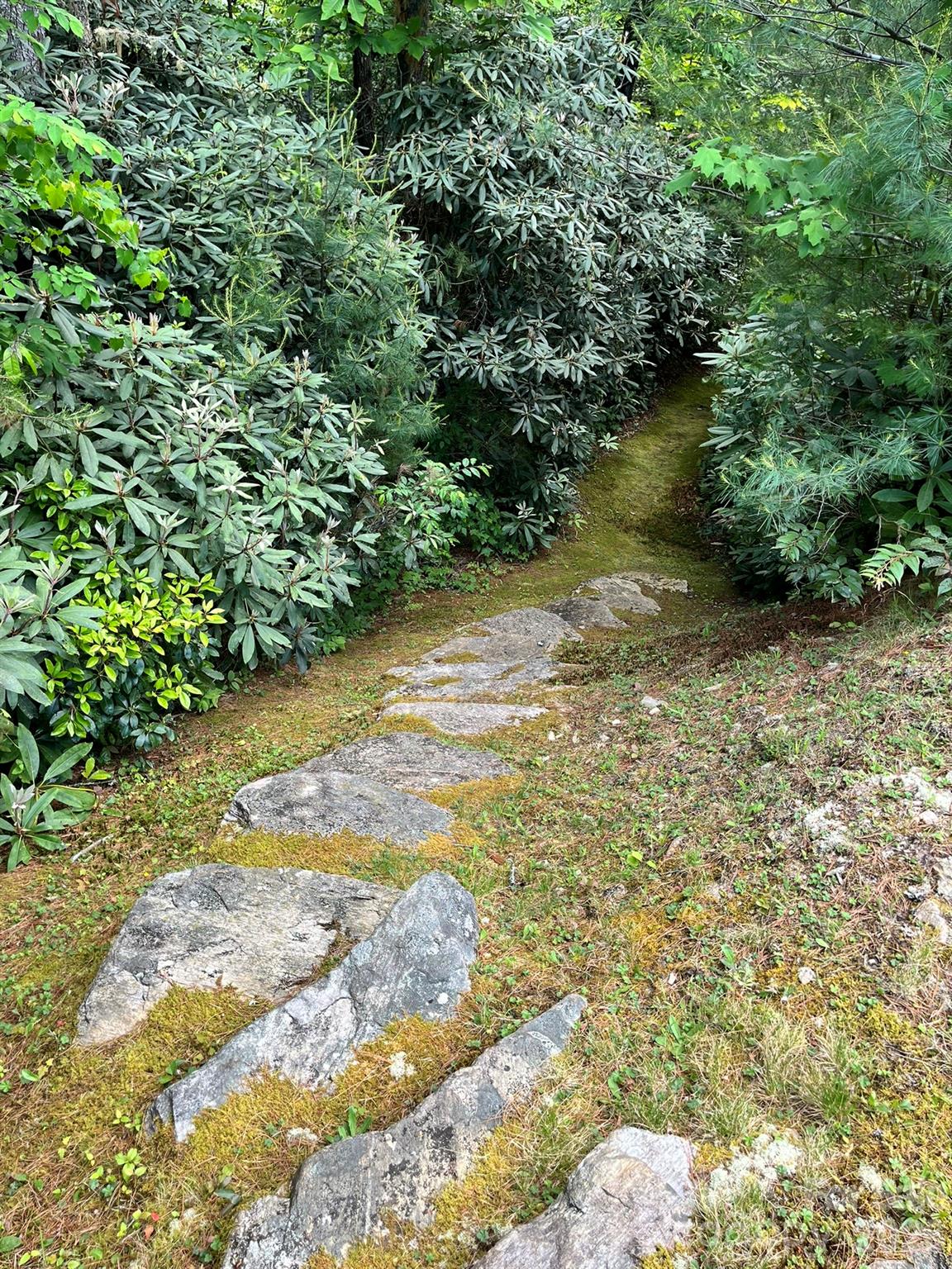 Lot 90 Peppervine Circle Rosman NC 28712