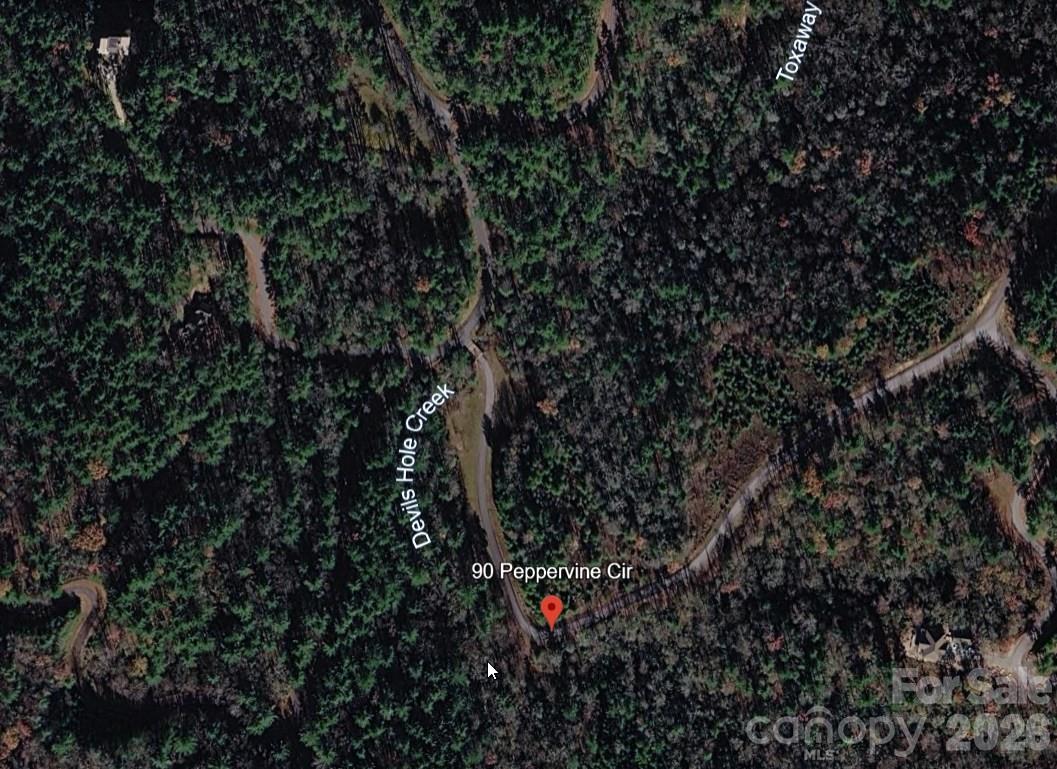 Lot 90 Peppervine Circle Rosman NC 28712