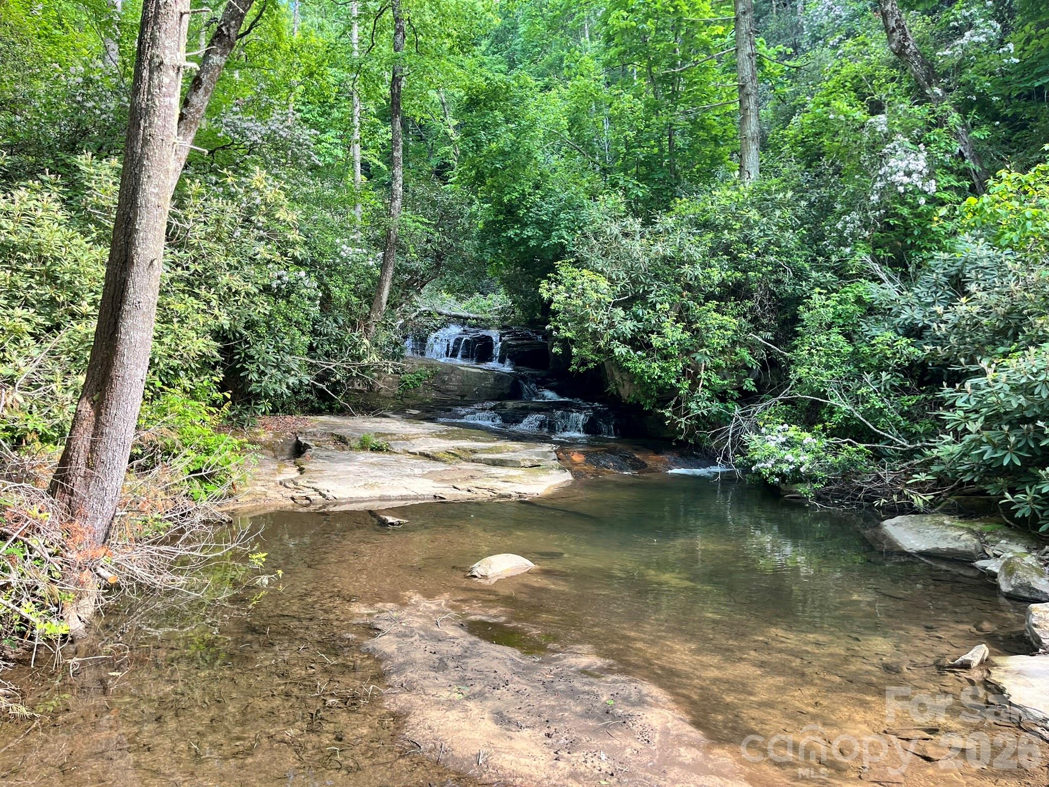 Lot 90 Peppervine Circle Rosman NC 28712