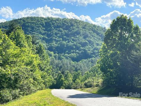 Lot 90 Peppervine Circle Rosman NC 28712