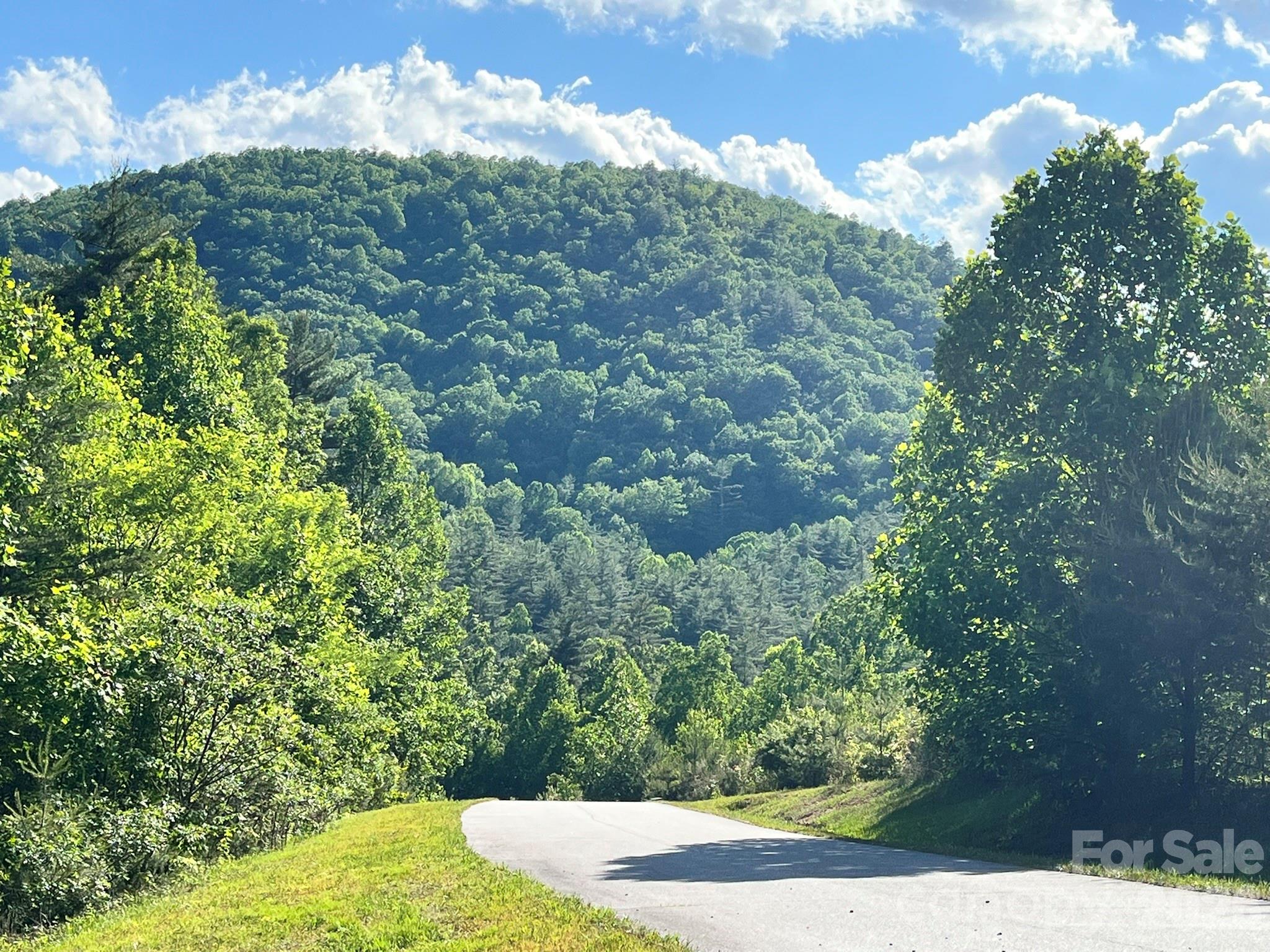 Lot 90 Peppervine Circle Rosman NC 28712