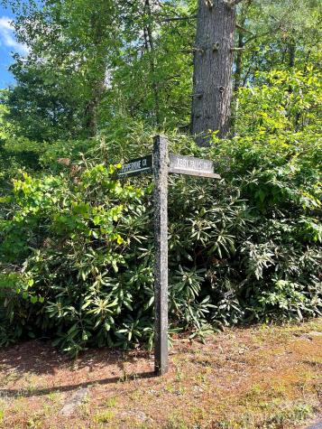 Lot 90 Peppervine Circle Rosman NC 28712
