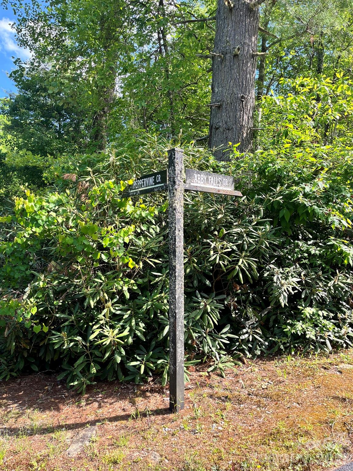 Lot 90 Peppervine Circle Rosman NC 28712