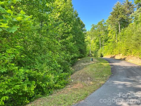 Lot 90 Peppervine Circle Rosman NC 28712
