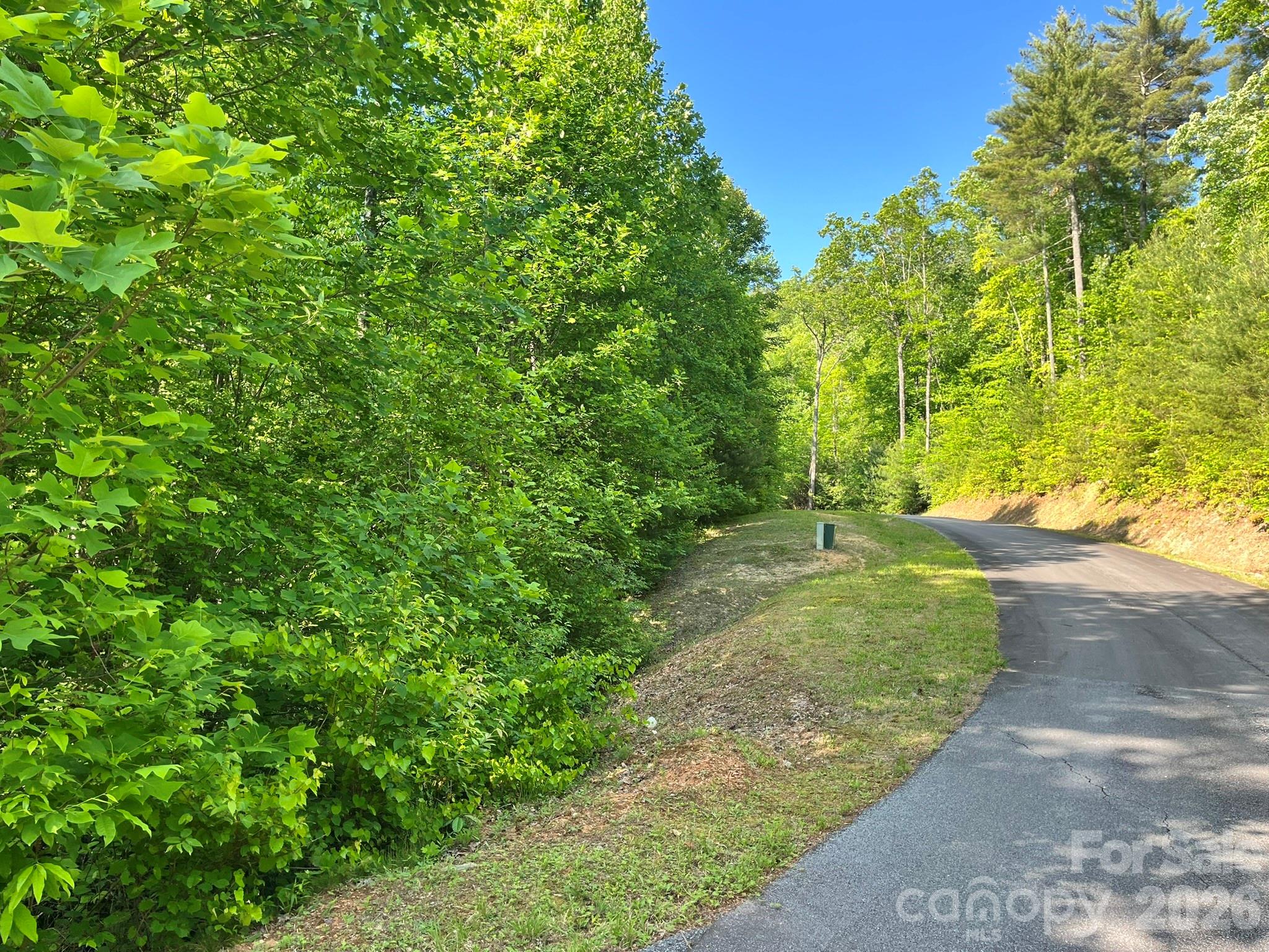 Lot 90 Peppervine Circle Rosman NC 28712