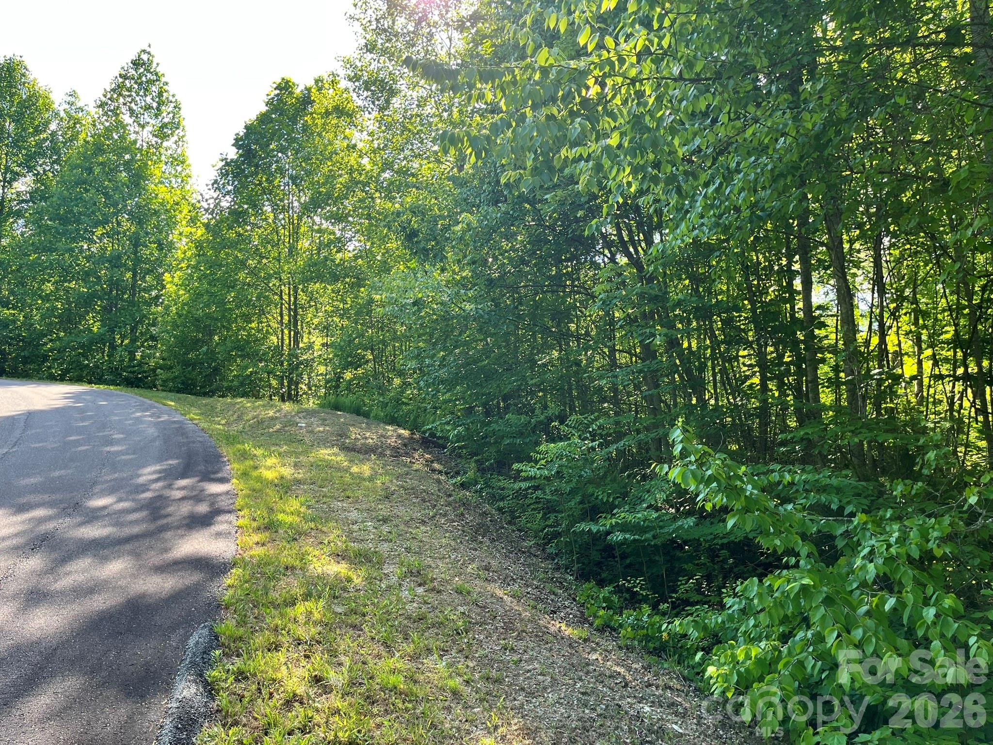 Lot 90 Peppervine Circle Rosman NC 28712