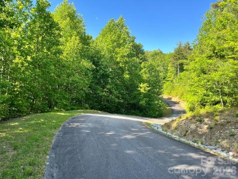 Lot 90 Peppervine Circle Rosman NC 28712
