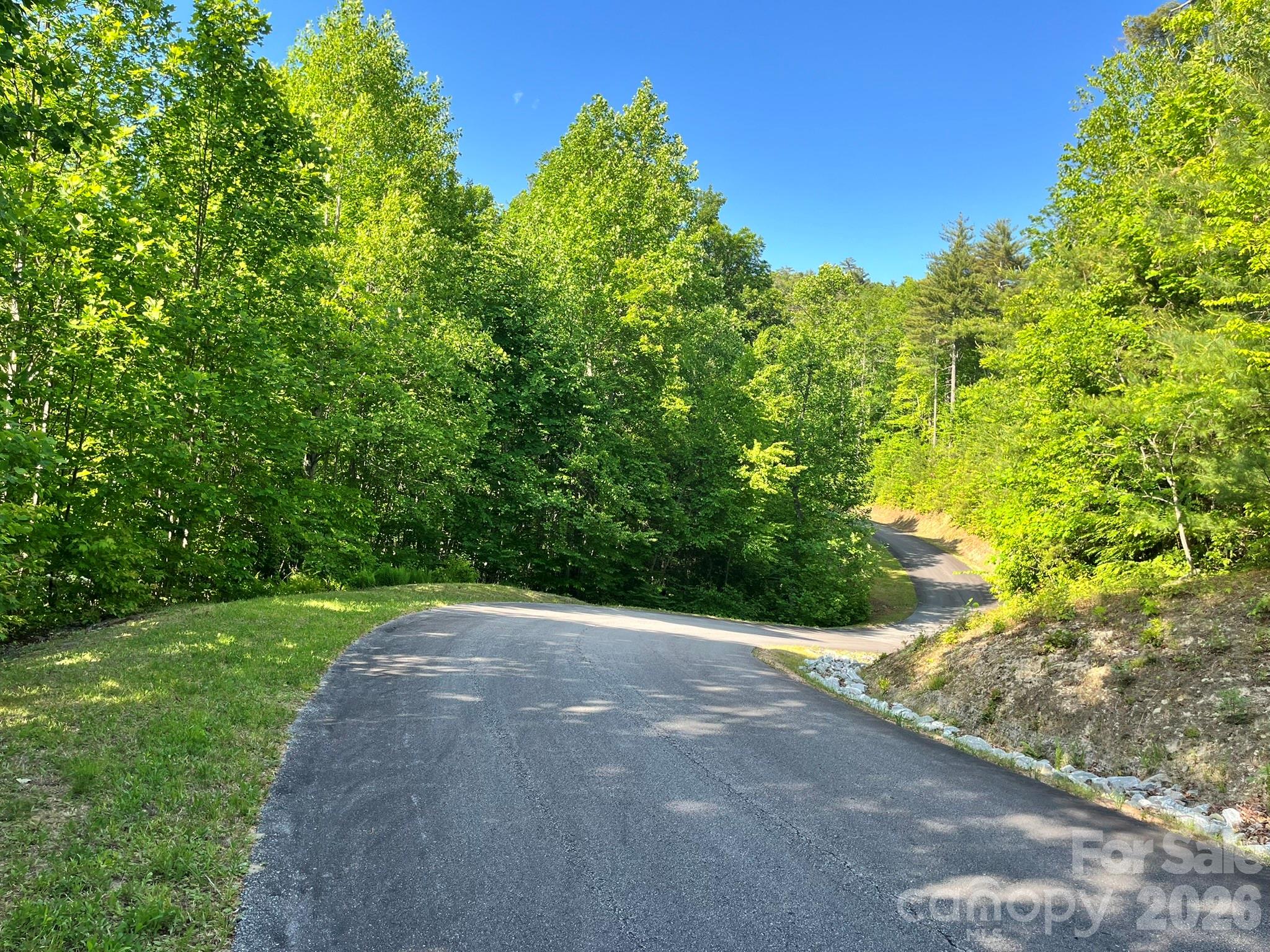 Lot 90 Peppervine Circle Rosman NC 28712