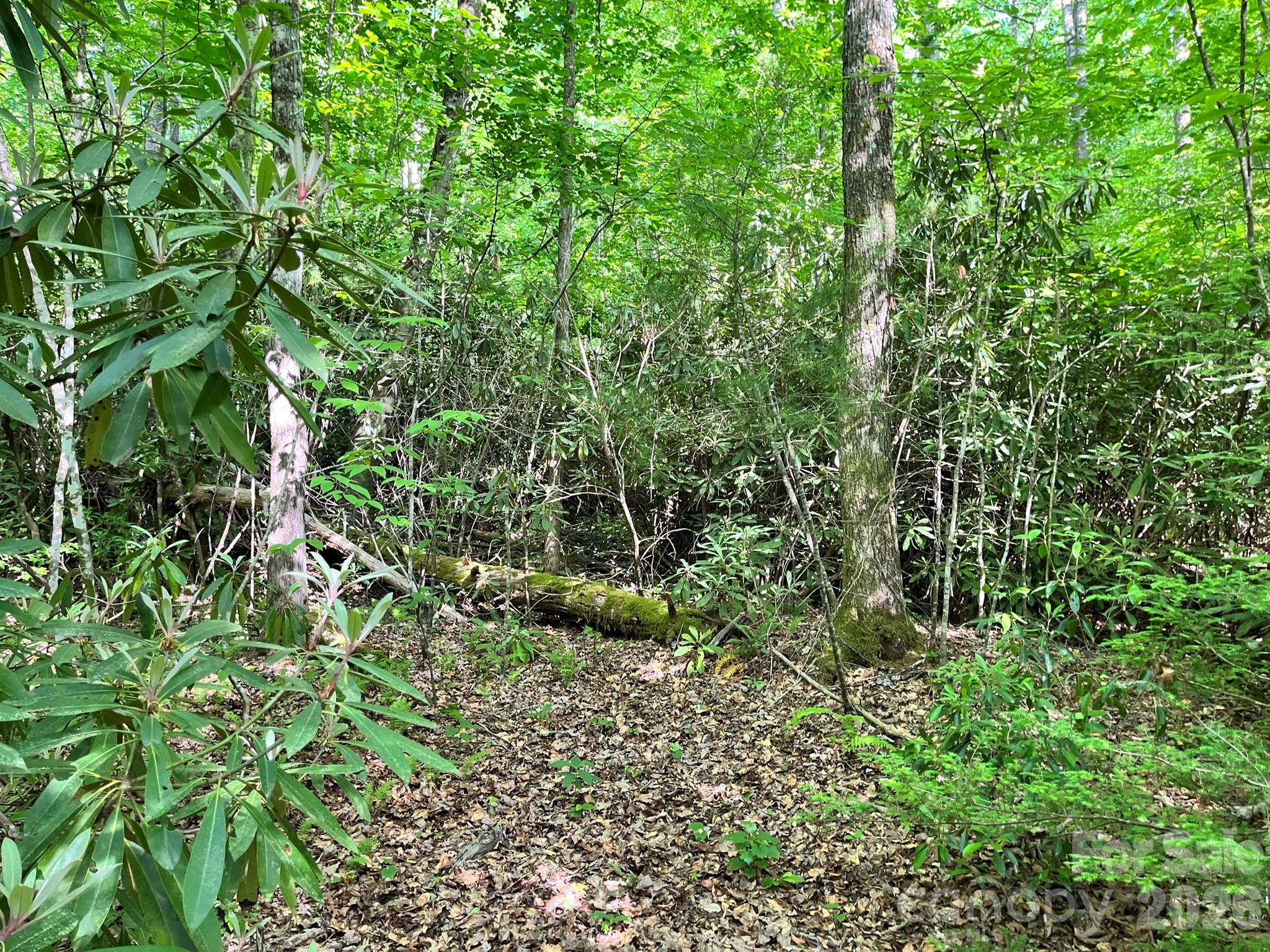 Lot 90 Peppervine Circle Rosman NC 28712