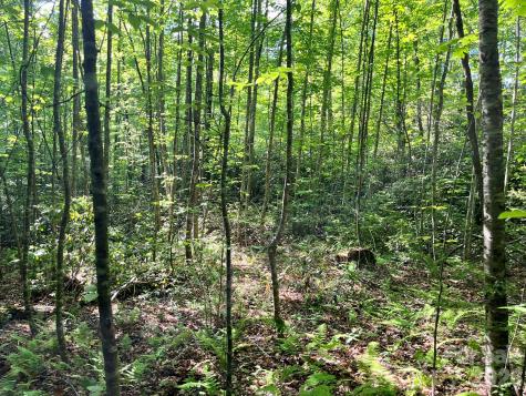 Lot 90 Peppervine Circle Rosman NC 28712