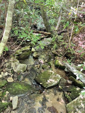Lot 90 Peppervine Circle Rosman NC 28712