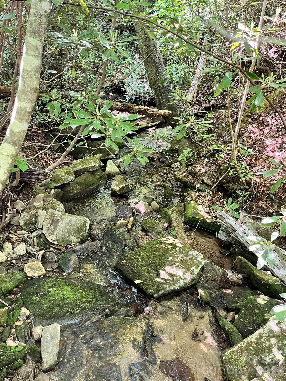 Lot 90 Peppervine Circle Rosman NC 28712