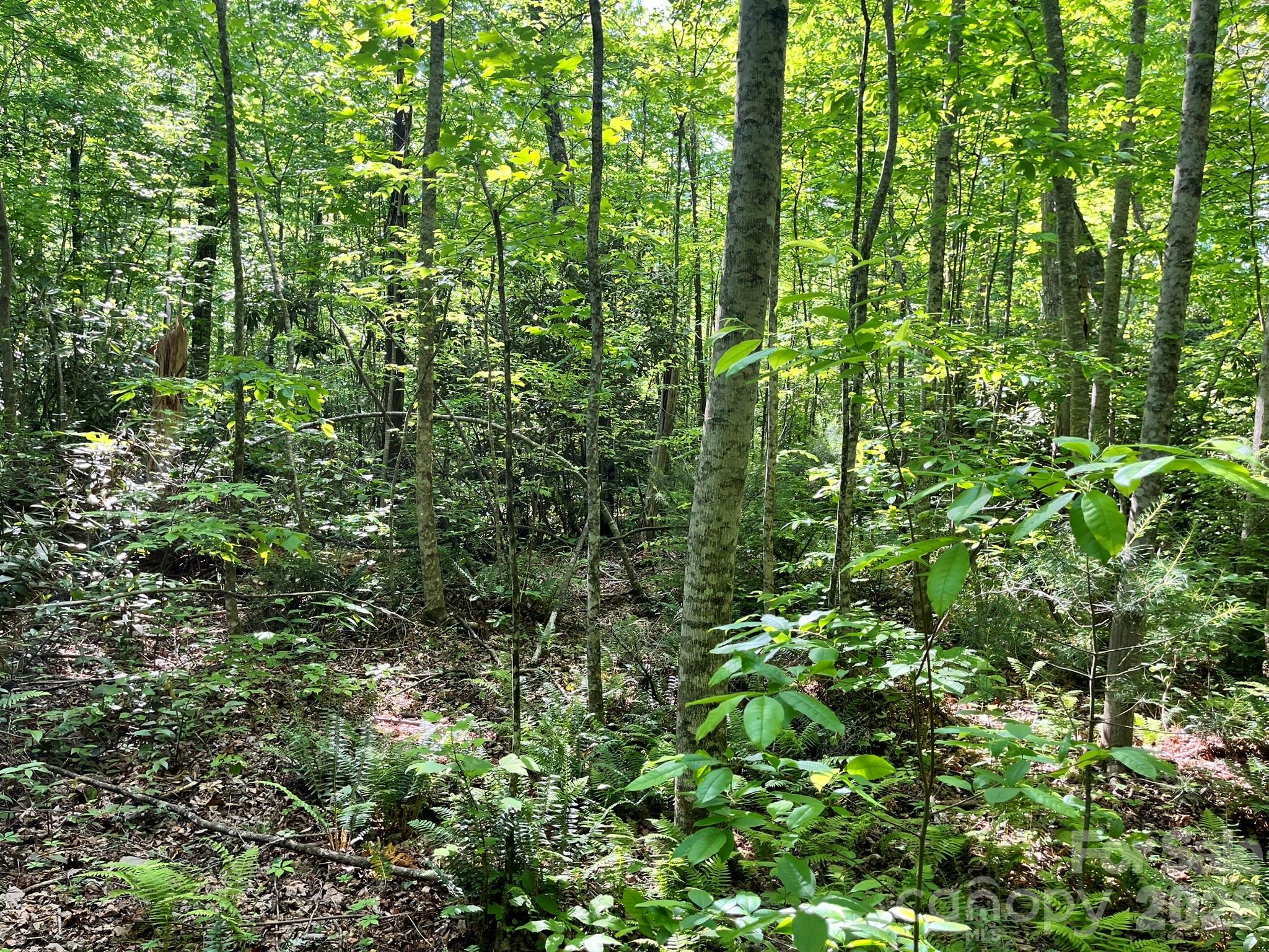 Lot 90 Peppervine Circle Rosman NC 28712