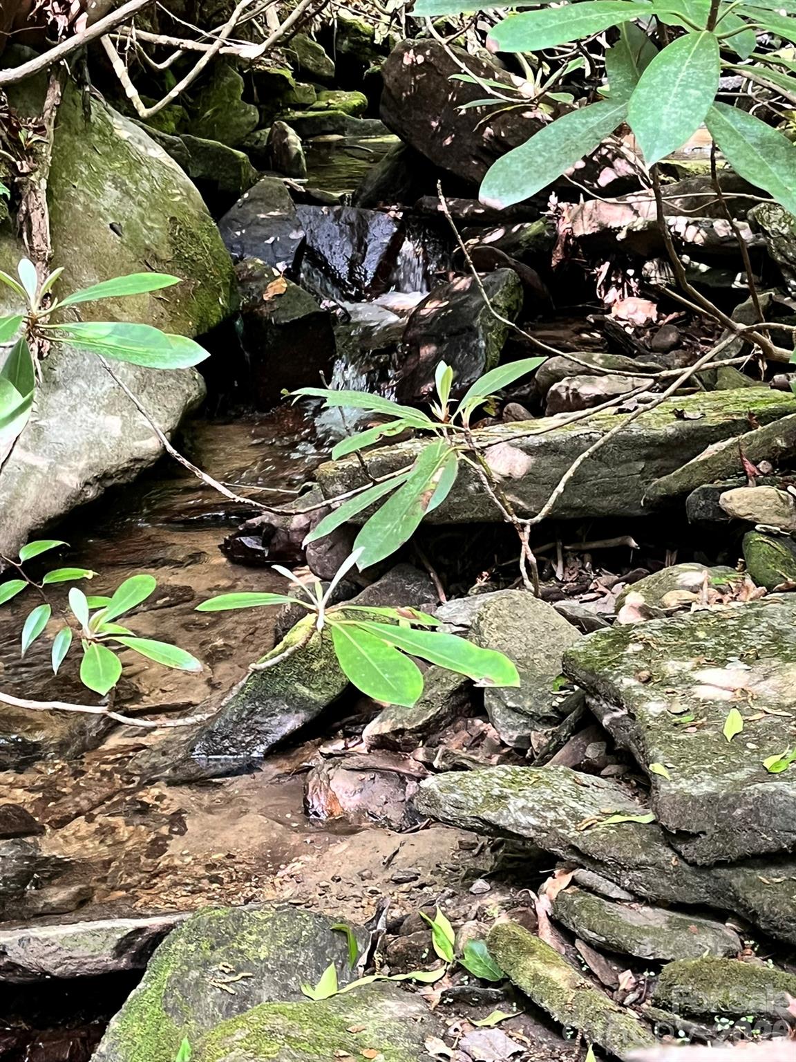Lot 90 Peppervine Circle Rosman NC 28712