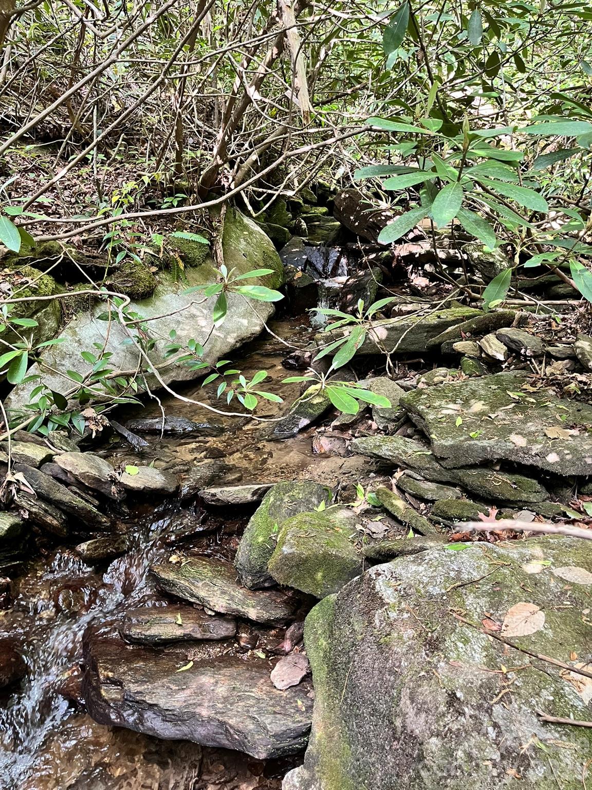 Lot 90 Peppervine Circle Rosman NC 28712