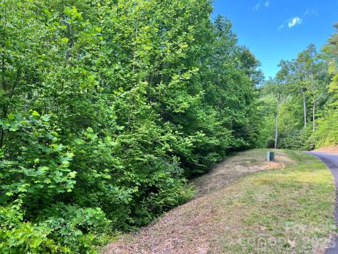 Lot 90 Peppervine Circle Rosman NC 28712
