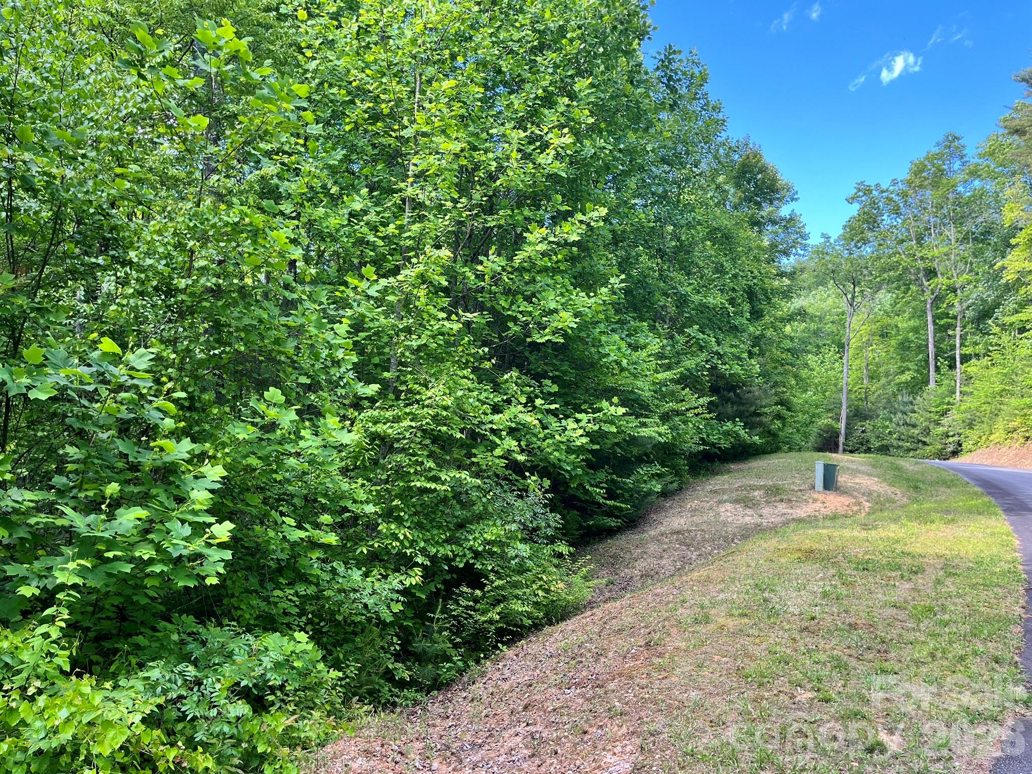 Lot 90 Peppervine Circle Rosman NC 28712