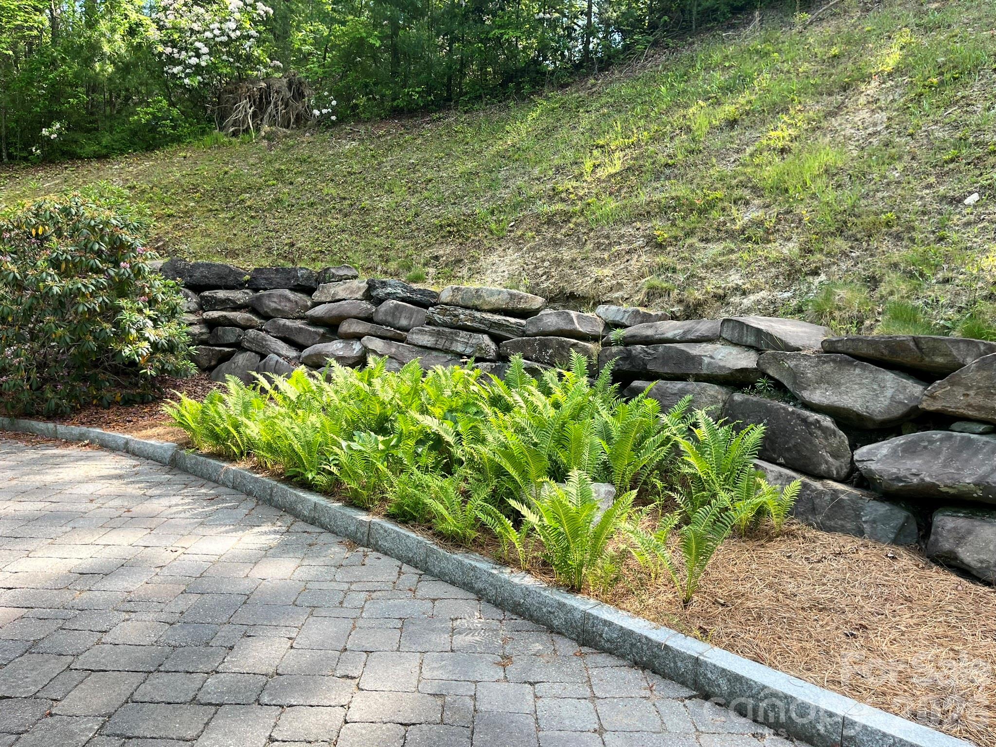 Lot 90 Peppervine Circle Rosman NC 28712