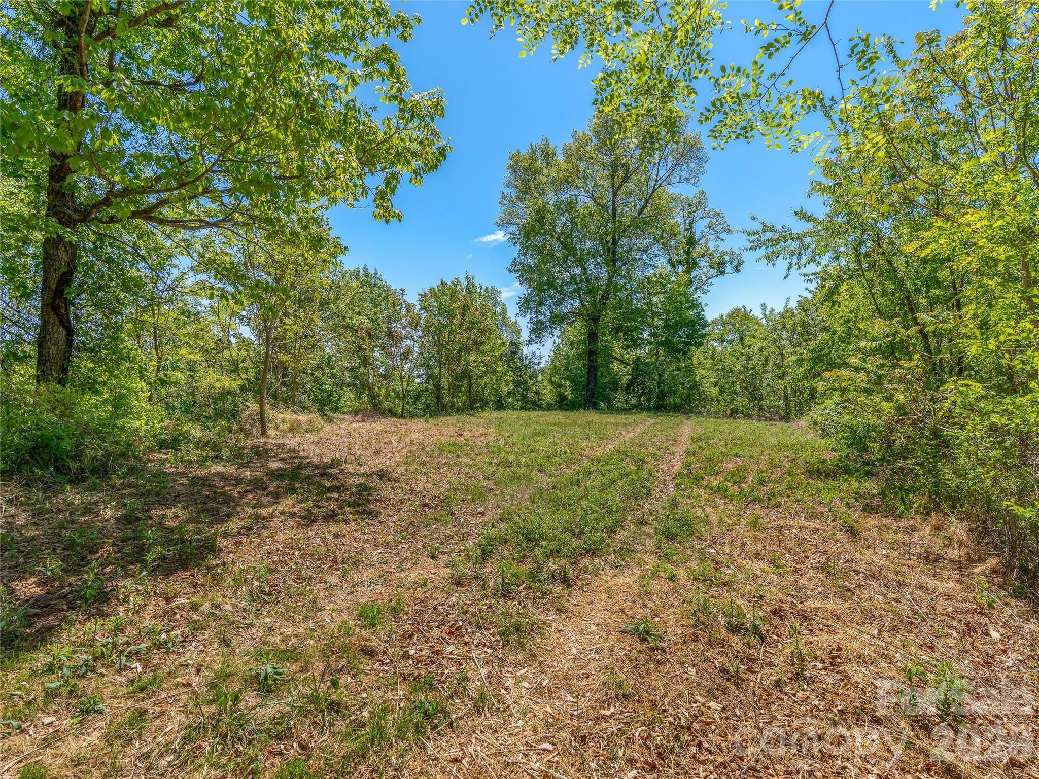 488 Warbler Lane Black Mountain NC 28711