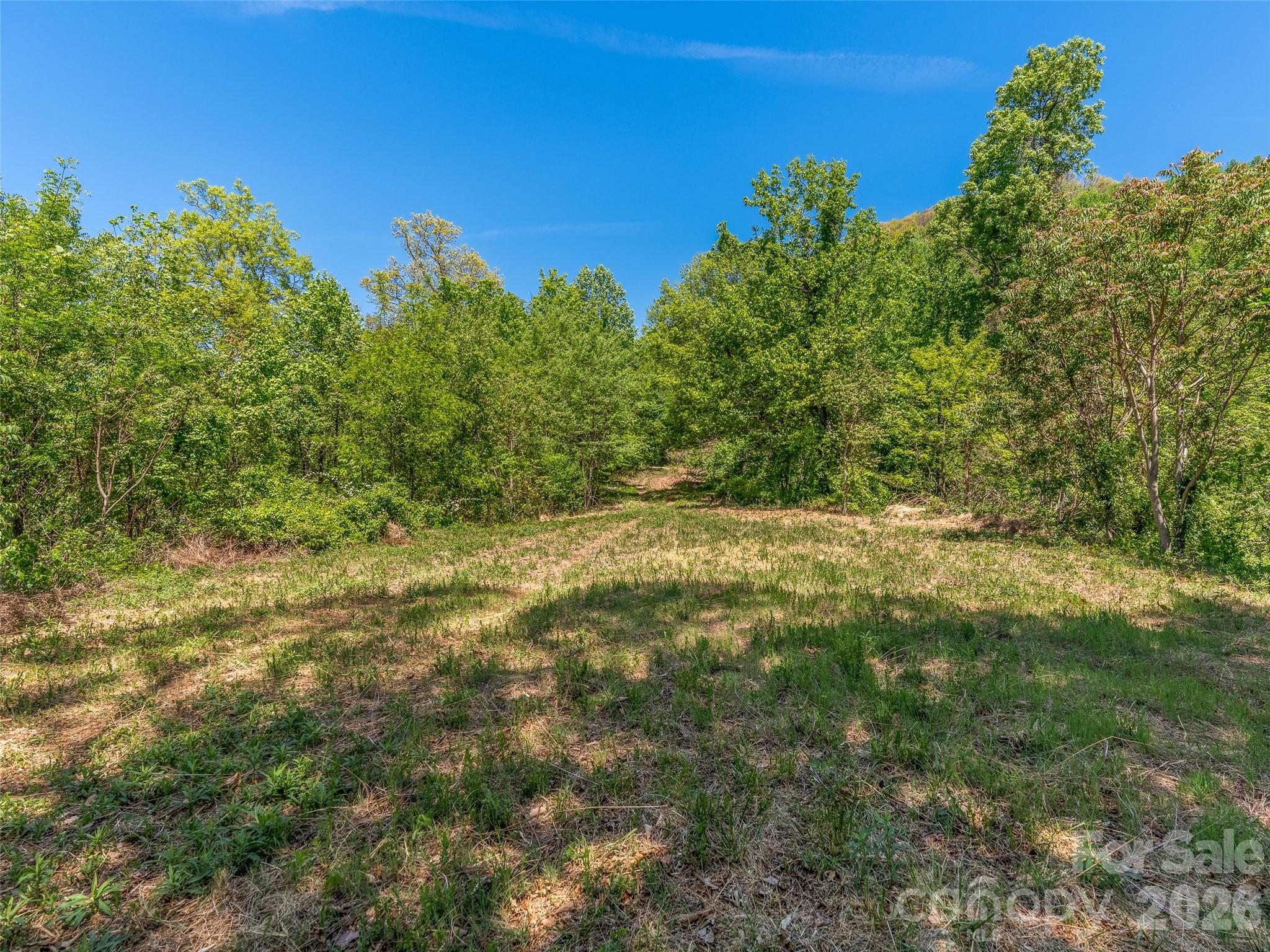 488 Warbler Lane Black Mountain NC 28711