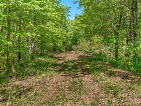 488 Warbler Lane Black Mountain NC 28711