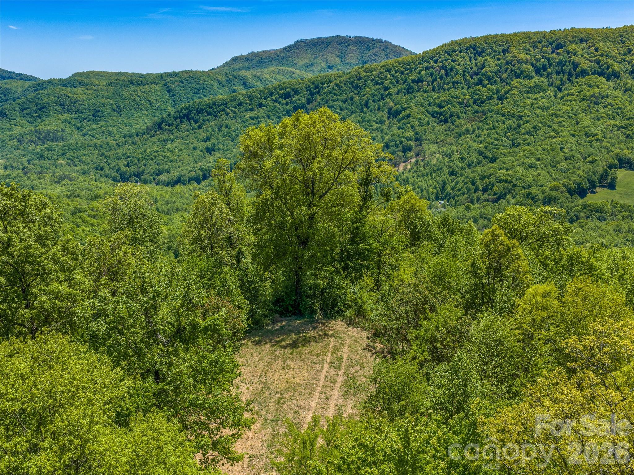 488 Warbler Lane Black Mountain NC 28711