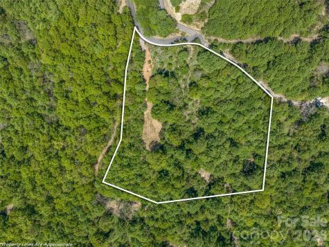 488 Warbler Lane Black Mountain NC 28711