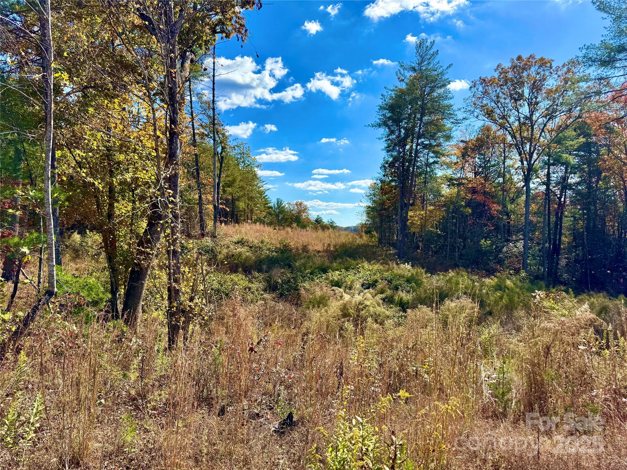 Lot G44, 2023 Shadow Ridge Trail Lenoir NC 28645