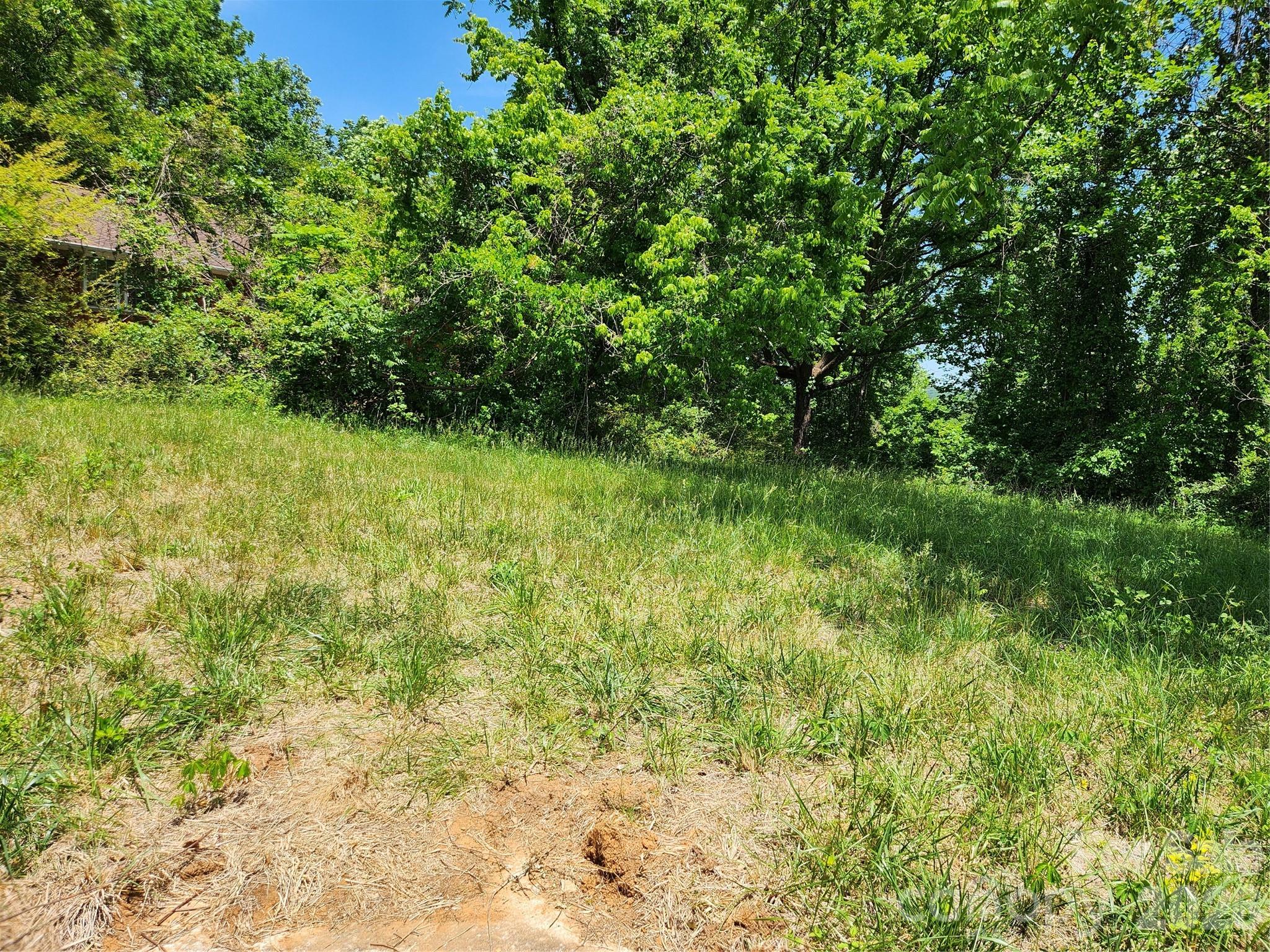 11 Weaver Hill Road Asheville NC 28805