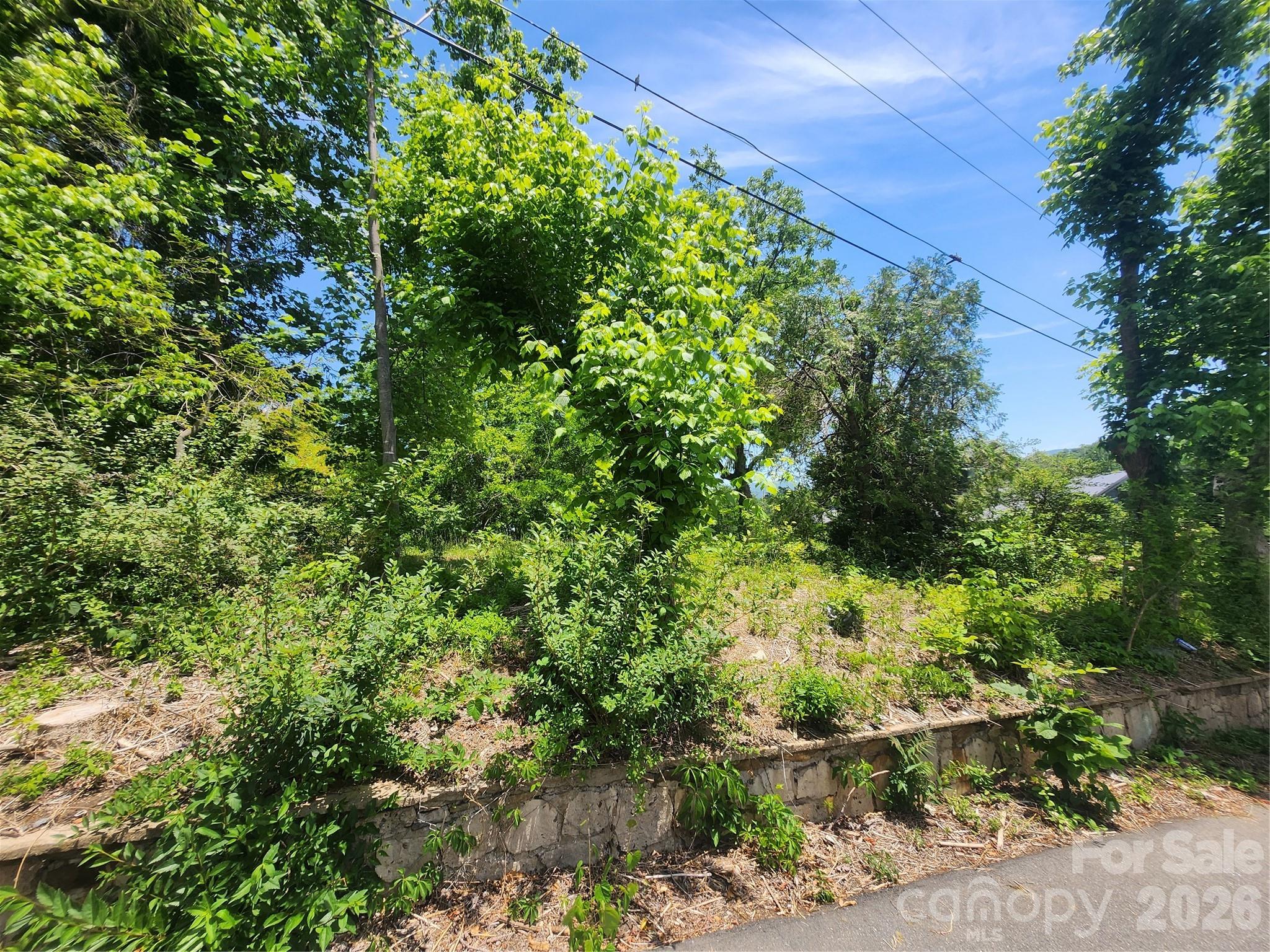 11 Weaver Hill Road Asheville NC 28805