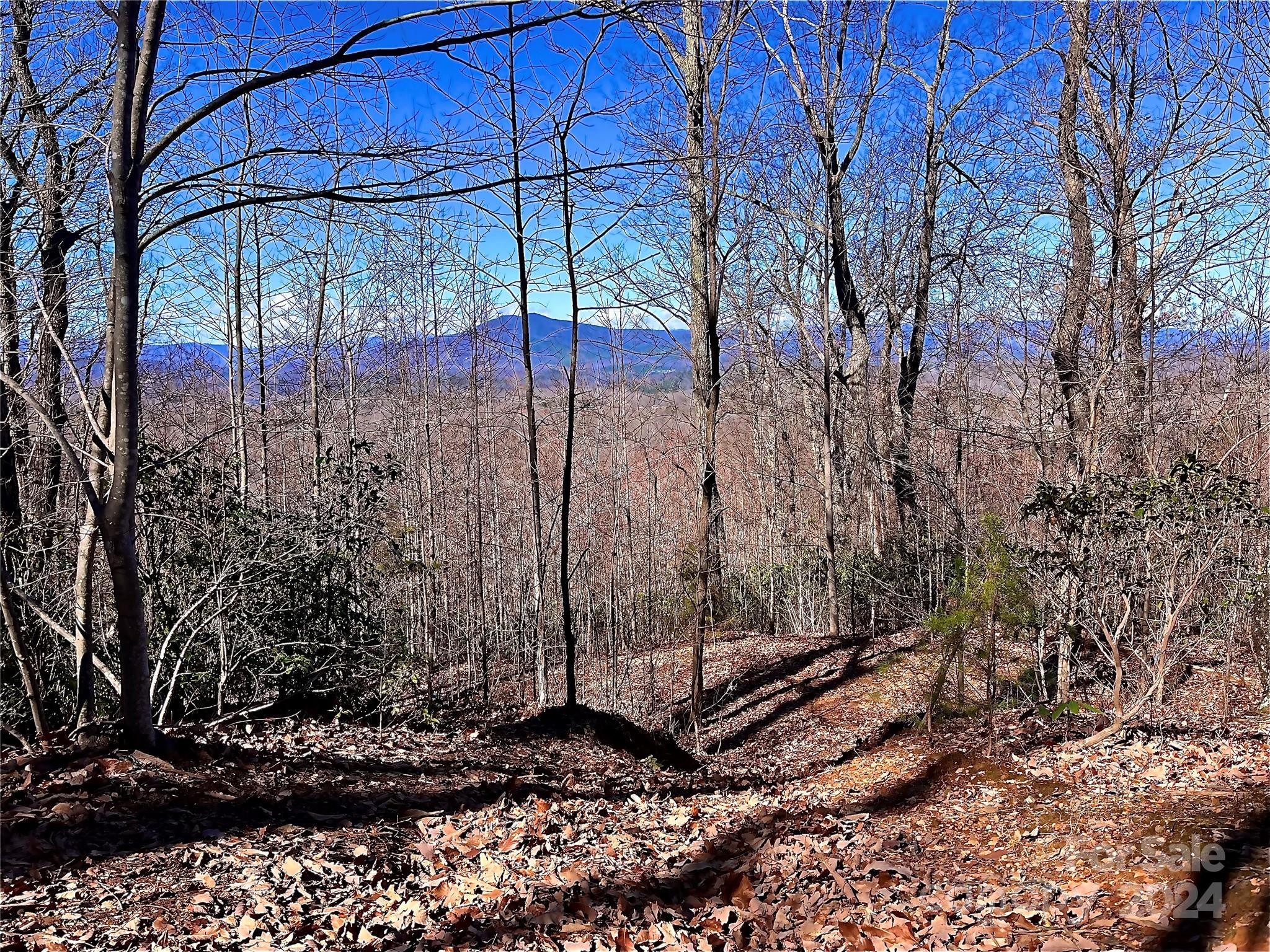 Lot 147 Big View Drive Marion NC 28752