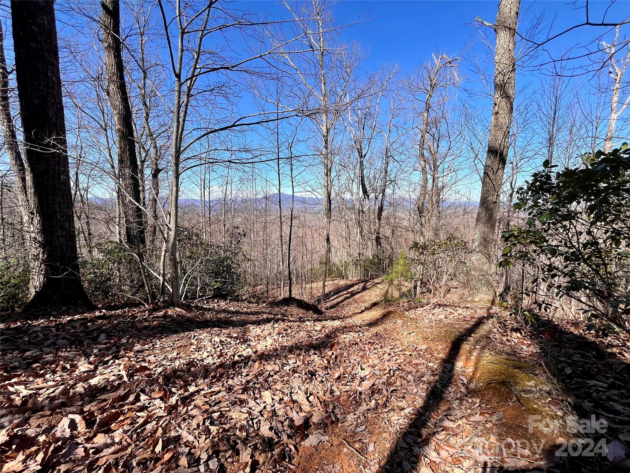 Lot 147 Big View Drive Marion NC 28752